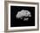 Illustration of an Asteroid in Outer Space-null-Framed Art Print