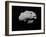 Illustration of an Asteroid in Outer Space-null-Framed Art Print