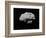Illustration of an Asteroid in Outer Space-null-Framed Premium Giclee Print
