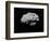 Illustration of an Asteroid in Outer Space-null-Framed Premium Giclee Print