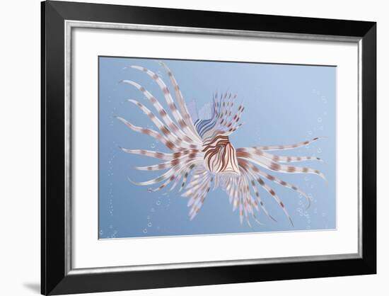 Illustration of an Exotic Lion Fish Swimming Underwater-Milovelen-Framed Art Print