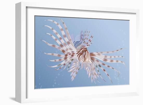 Illustration of an Exotic Lion Fish Swimming Underwater-Milovelen-Framed Art Print