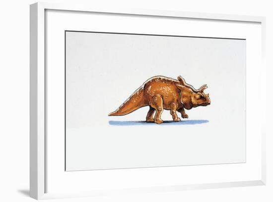 Illustration of Arrhinoceratops-null-Framed Giclee Print