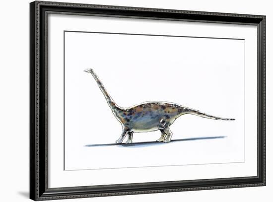 Illustration of Barapasaurus - Artwork-null-Framed Giclee Print