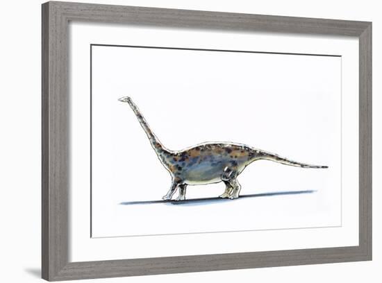 Illustration of Barapasaurus - Artwork-null-Framed Giclee Print