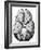 Illustration of Blood Supply To the Brain,C.Wren-Science Photo Library-Framed Photographic Print