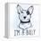 Illustration of Bull Terrier with Funny Slogan.-Katja Gerasimova-Framed Stretched Canvas