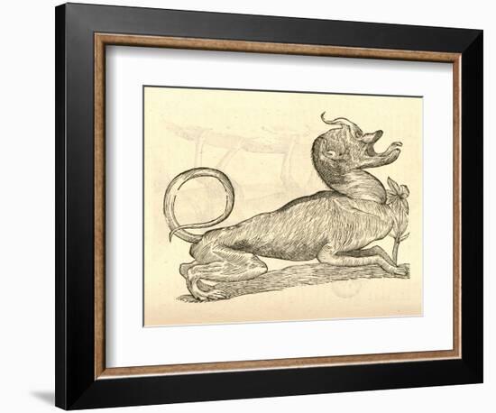 Illustration of "Canis Monstroso Capite" from Aldrovandi's 'History of Monsters' , 1642-null-Framed Giclee Print