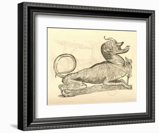 Illustration of "Canis Monstroso Capite" from Aldrovandi's 'History of Monsters' , 1642-null-Framed Giclee Print
