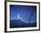 Illustration of Cartoon Characters Stealing the Moon-null-Framed Photographic Print