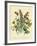 Illustration of Colorful Flowers-Bettmann-Framed Giclee Print