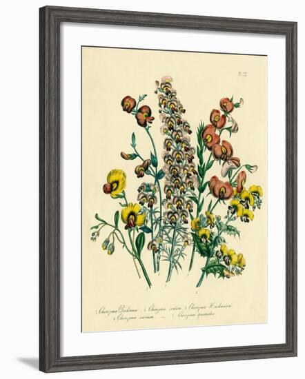 Illustration of Colorful Flowers-Bettmann-Framed Giclee Print