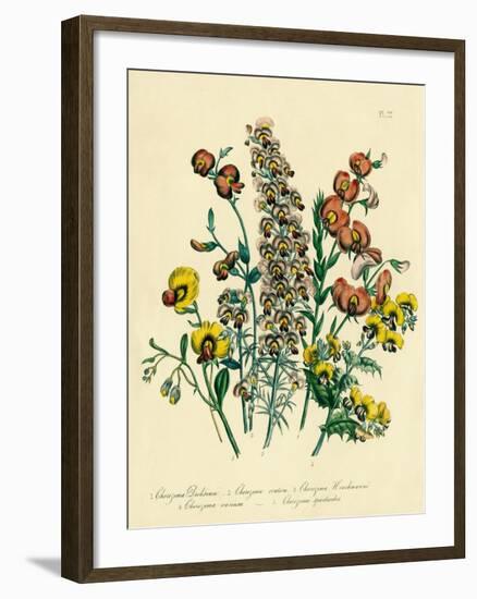 Illustration of Colorful Flowers-Bettmann-Framed Giclee Print