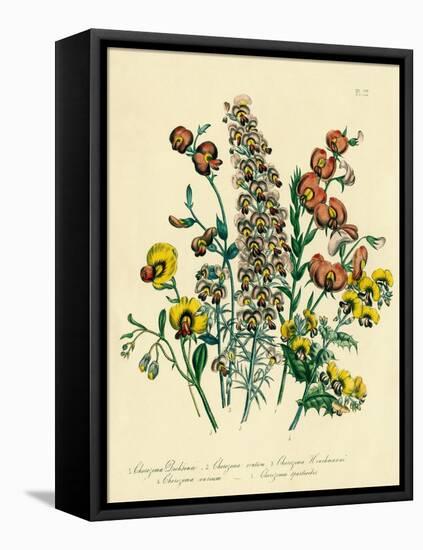 Illustration of Colorful Flowers-Bettmann-Framed Premier Image Canvas