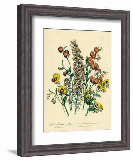 Illustration of Colorful Flowers-Bettmann-Framed Giclee Print