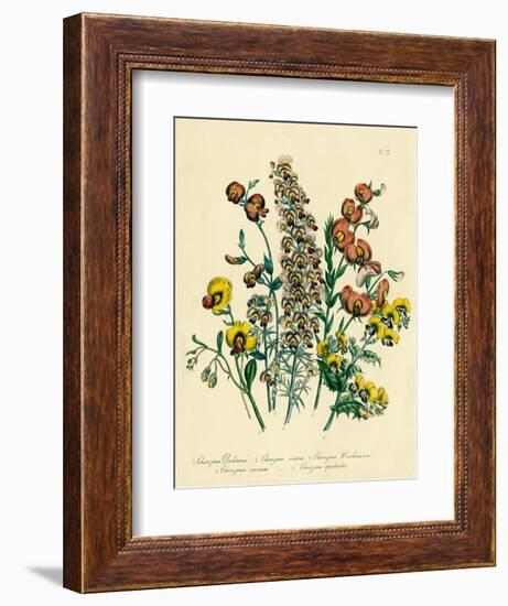 Illustration of Colorful Flowers-Bettmann-Framed Giclee Print