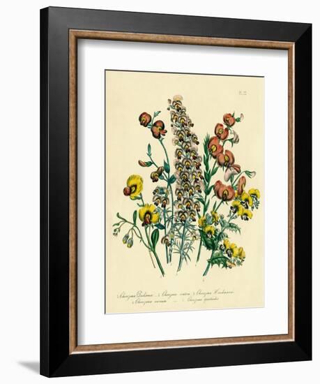 Illustration of Colorful Flowers-Bettmann-Framed Giclee Print