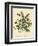 Illustration of Colorful Flowers-Bettmann-Framed Giclee Print