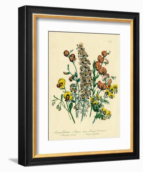 Illustration of Colorful Flowers-Bettmann-Framed Giclee Print