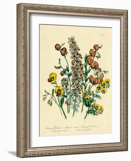 Illustration of Colorful Flowers-Bettmann-Framed Giclee Print