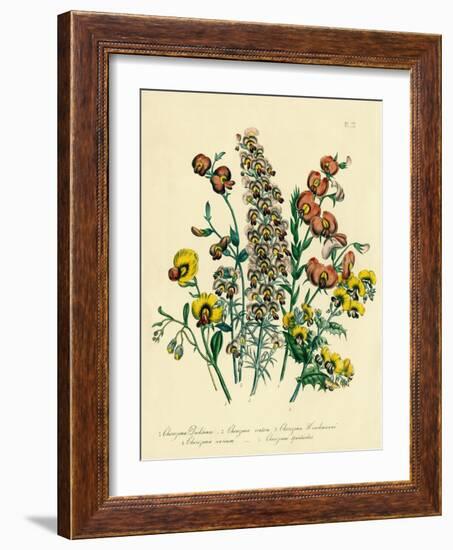 Illustration of Colorful Flowers-Bettmann-Framed Giclee Print