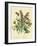 Illustration of Colorful Flowers-Bettmann-Framed Giclee Print