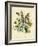 Illustration of Colorful Flowers-Bettmann-Framed Giclee Print