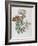 Illustration of Different Types of Crassulas-Bettmann-Framed Giclee Print