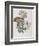 Illustration of Different Types of Crassulas-Bettmann-Framed Giclee Print