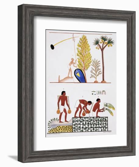 Illustration of Egyptian Frescoes of a Well and a Garden by Frederic Cailliaud-Stapleton Collection-Framed Giclee Print