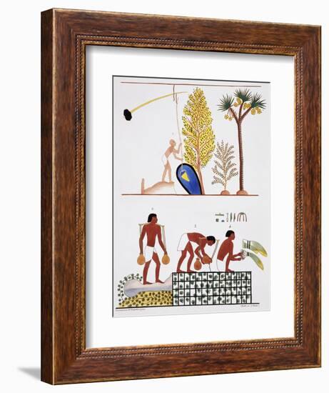 Illustration of Egyptian Frescoes of a Well and a Garden by Frederic Cailliaud-Stapleton Collection-Framed Giclee Print