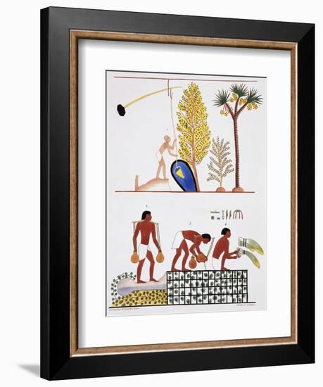 Illustration of Egyptian Frescoes of a Well and a Garden by Frederic Cailliaud-Stapleton Collection-Framed Giclee Print