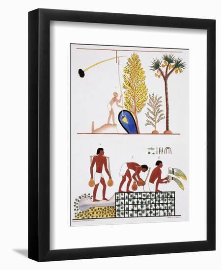 Illustration of Egyptian Frescoes of a Well and a Garden by Frederic Cailliaud-Stapleton Collection-Framed Giclee Print