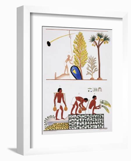 Illustration of Egyptian Frescoes of a Well and a Garden by Frederic Cailliaud-Stapleton Collection-Framed Giclee Print