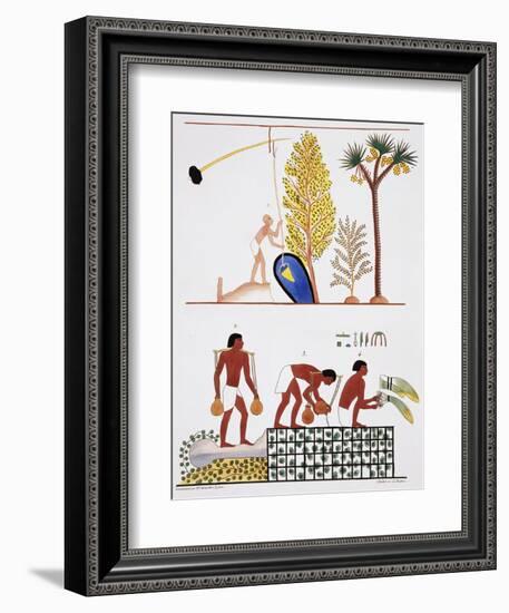 Illustration of Egyptian Frescoes of a Well and a Garden by Frederic Cailliaud-Stapleton Collection-Framed Giclee Print
