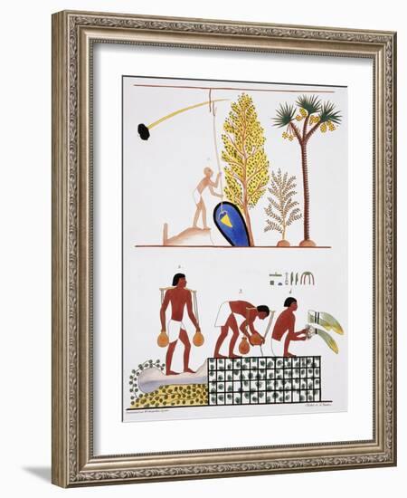 Illustration of Egyptian Frescoes of a Well and a Garden by Frederic Cailliaud-Stapleton Collection-Framed Giclee Print