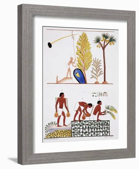 Illustration of Egyptian Frescoes of a Well and a Garden by Frederic Cailliaud-Stapleton Collection-Framed Giclee Print