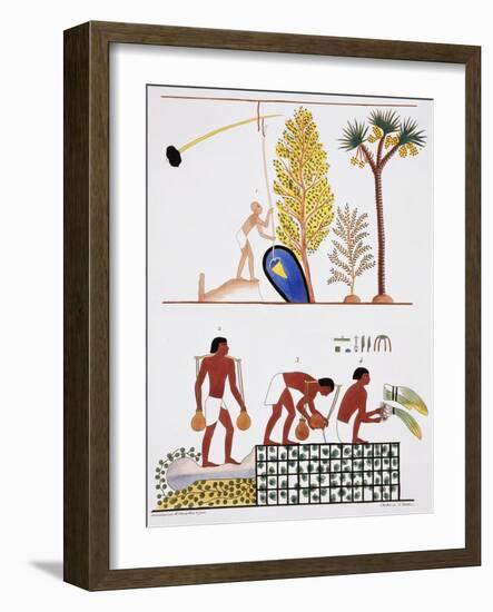 Illustration of Egyptian Frescoes of a Well and a Garden by Frederic Cailliaud-Stapleton Collection-Framed Giclee Print