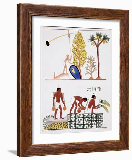 Illustration of Egyptian Frescoes of a Well and a Garden by Frederic Cailliaud-Stapleton Collection-Framed Giclee Print