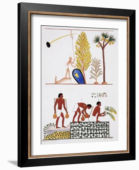 Illustration of Egyptian Frescoes of a Well and a Garden by Frederic Cailliaud-Stapleton Collection-Framed Giclee Print