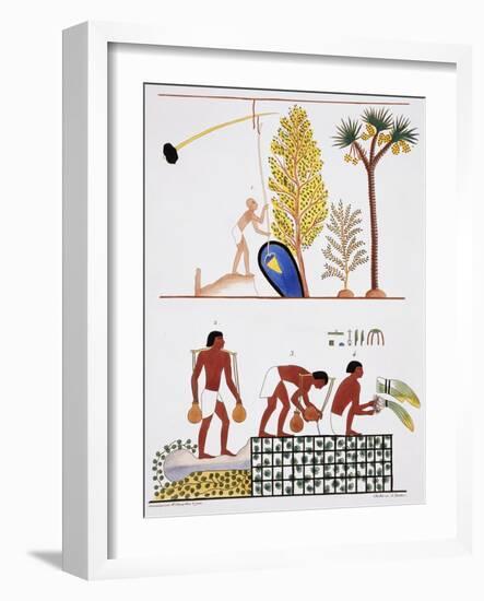 Illustration of Egyptian Frescoes of a Well and a Garden by Frederic Cailliaud-Stapleton Collection-Framed Giclee Print