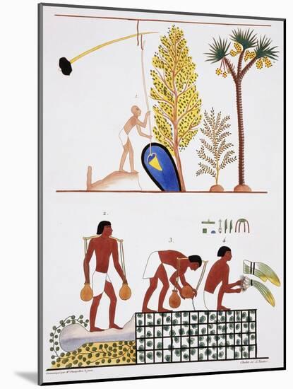 Illustration of Egyptian Frescoes of a Well and a Garden by Frederic Cailliaud-Stapleton Collection-Mounted Giclee Print