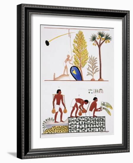 Illustration of Egyptian Frescoes of a Well and a Garden by Frederic Cailliaud-Stapleton Collection-Framed Giclee Print