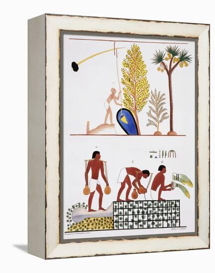 Illustration of Egyptian Frescoes of a Well and a Garden by Frederic Cailliaud-Stapleton Collection-Framed Premier Image Canvas