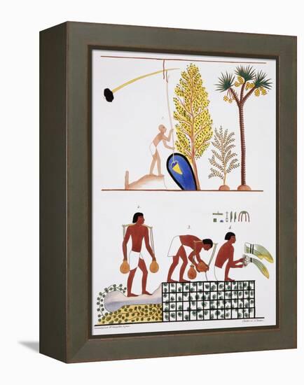 Illustration of Egyptian Frescoes of a Well and a Garden by Frederic Cailliaud-Stapleton Collection-Framed Premier Image Canvas