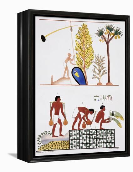 Illustration of Egyptian Frescoes of a Well and a Garden by Frederic Cailliaud-Stapleton Collection-Framed Premier Image Canvas