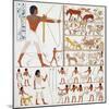 Illustration of Egyptian Frescoes of Hunting Scenes by Frederic Cailliaud-Stapleton Collection-Mounted Giclee Print