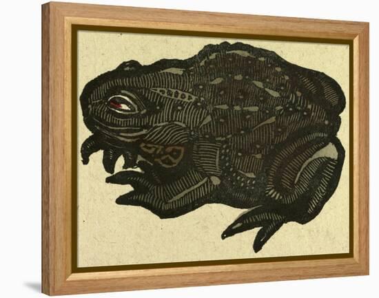 Illustration of English Tales Folk Tales and Ballads, a Toad-null-Framed Premier Image Canvas