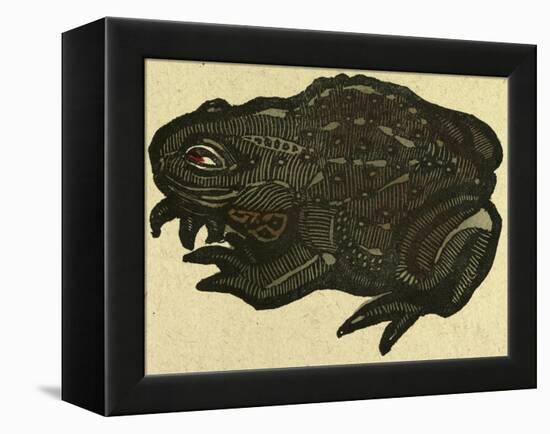 Illustration of English Tales Folk Tales and Ballads, a Toad-null-Framed Premier Image Canvas