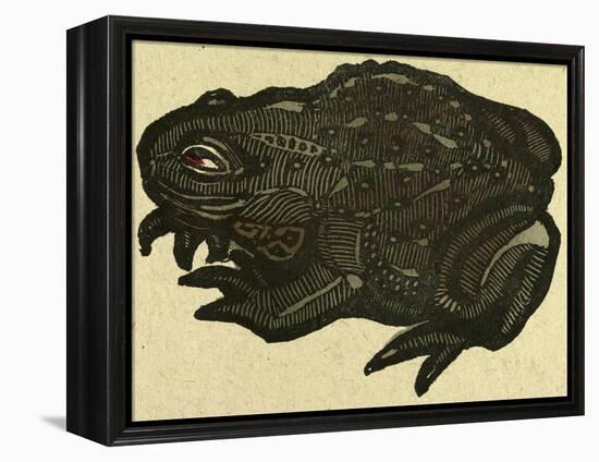 Illustration of English Tales Folk Tales and Ballads, a Toad-null-Framed Premier Image Canvas